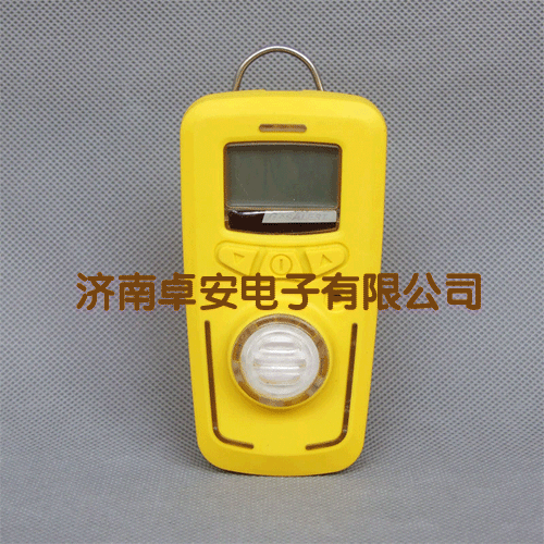 R10型有毒气体检测仪 R10型有毒气体检测仪